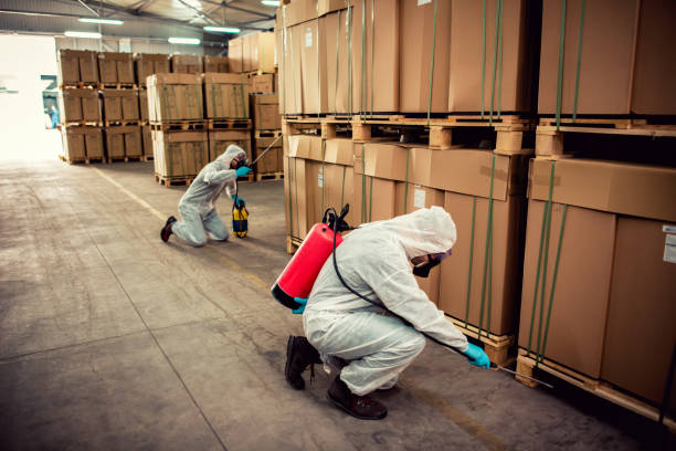 Best Residential Pest Control  in Longwood, FL