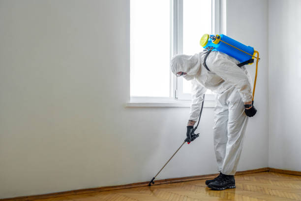 Best Flea Control Services  in Longwood, FL