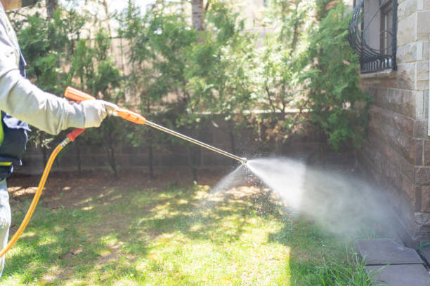 Best Cockroach Control Services  in Longwood, FL